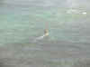 DSCN4669small.jpg (328747 bytes)